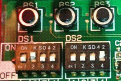 DS1 (serial) and DS2 (address) - black shows the switch position